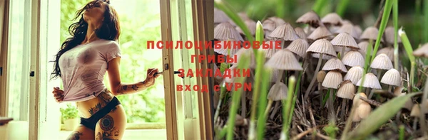 индика Абдулино