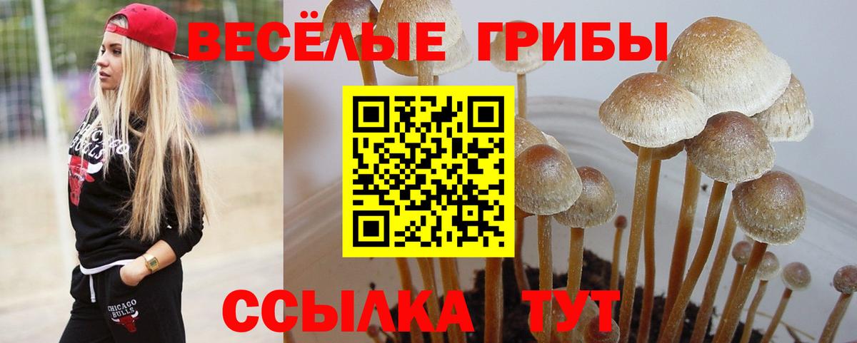 Псилоцибиновые грибы Cubensis  Вход с VPN  Псилоцибиновые грибы Magic Shrooms  наркотики  Ялта 