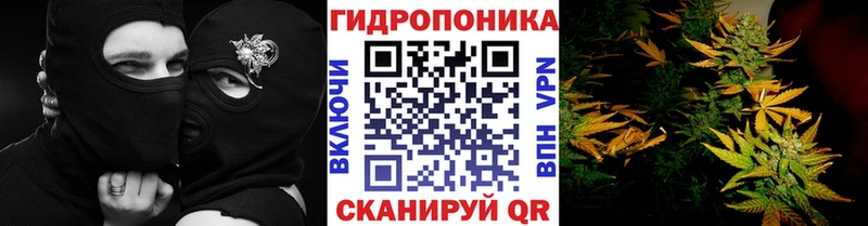 Канабис SATIVA & INDICA  kraken ТОР  Ялта  купить закладку 